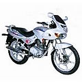 Model Pulsar 125 [RFBM20000] (RJ25CB) M2